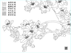 木棉花  满城都是木棉花