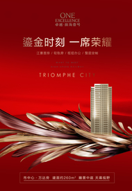 开盘地产豪宅广告