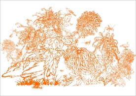 鸟语花香 手绘画
