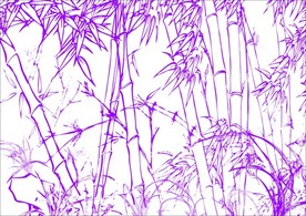 兰花竹林子 素描画