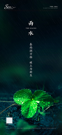 雨水