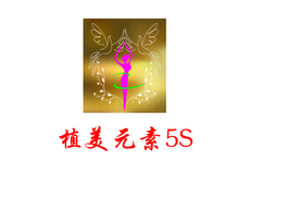 植美元素5s形体管理