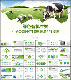 牛奶公司PPT牛奶乳制品PPT