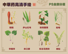 中草药手绘