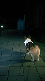女鬼