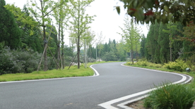 社区绿化