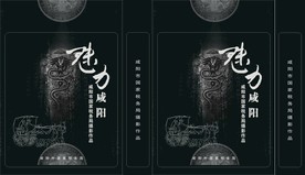 手提袋  咸阳  魅力咸阳