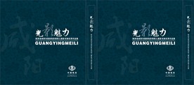 手提袋  光影魅力  税务