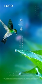 白露 节气 H5地产海报