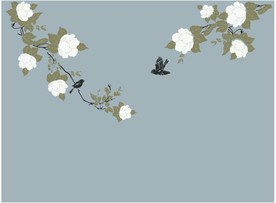 牡丹 花鸟