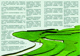 书籍画册设计