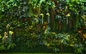 植物背景