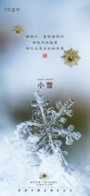二十四节气小雪海报