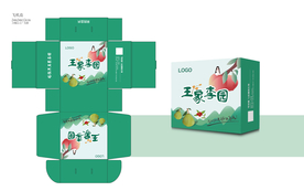 水果包装盒平面图
