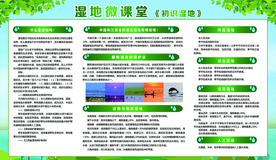 湿地与水 同生命 互相依