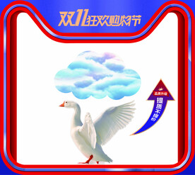双11橱窗