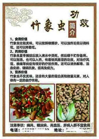 竹象虫功效