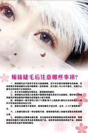 嫁接睫毛注意事项海报