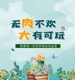 多肉活动diy背景板主画面