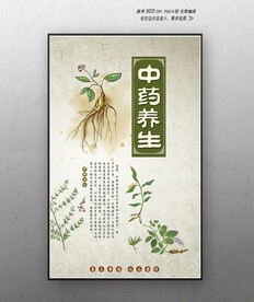 中药养生海报设计