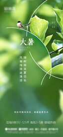 大暑节气海报
