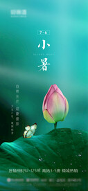 小暑节气单图