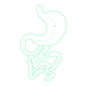 肠道