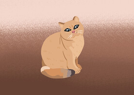 小猫插画
