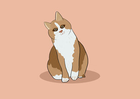 小猫咪插画