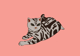 小猫咪插画