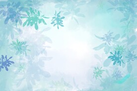 冰花蓝色背景