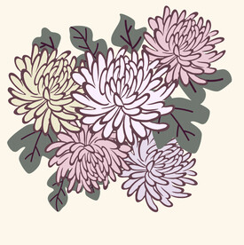 重阳节菊花