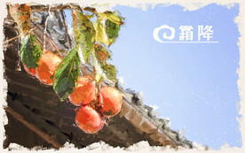 霜降柿子树