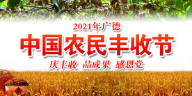 2021中国农民丰收节背景
