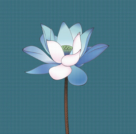 荷花