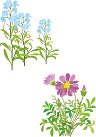 矢量花草