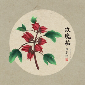 玫瑰茄
