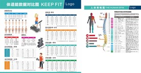 体能