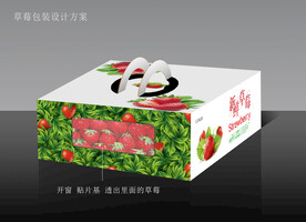 草莓包装设计平面展开图