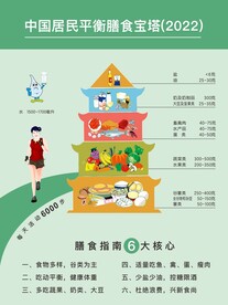 平衡膳食文化
