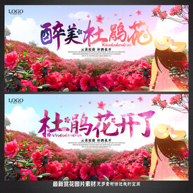 杜鹃花