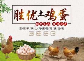 土鸡蛋