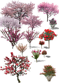 花灌木景观园林ps贴图素材