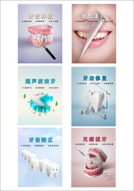 口腔六副高清展示图