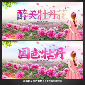 牡丹花