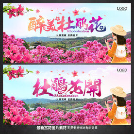 杜鹃花