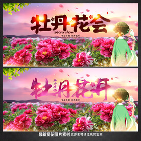 牡丹花节