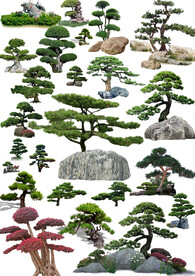 造型松石小景