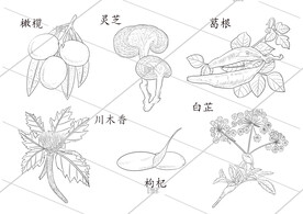 线描药材