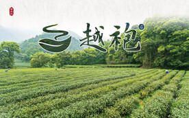 茶山